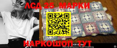гидра Кандалакша