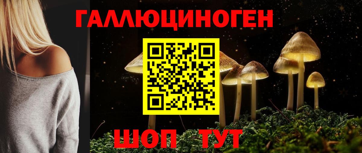 Псилоцибиновые грибы Psilocybe Бутурлиновка